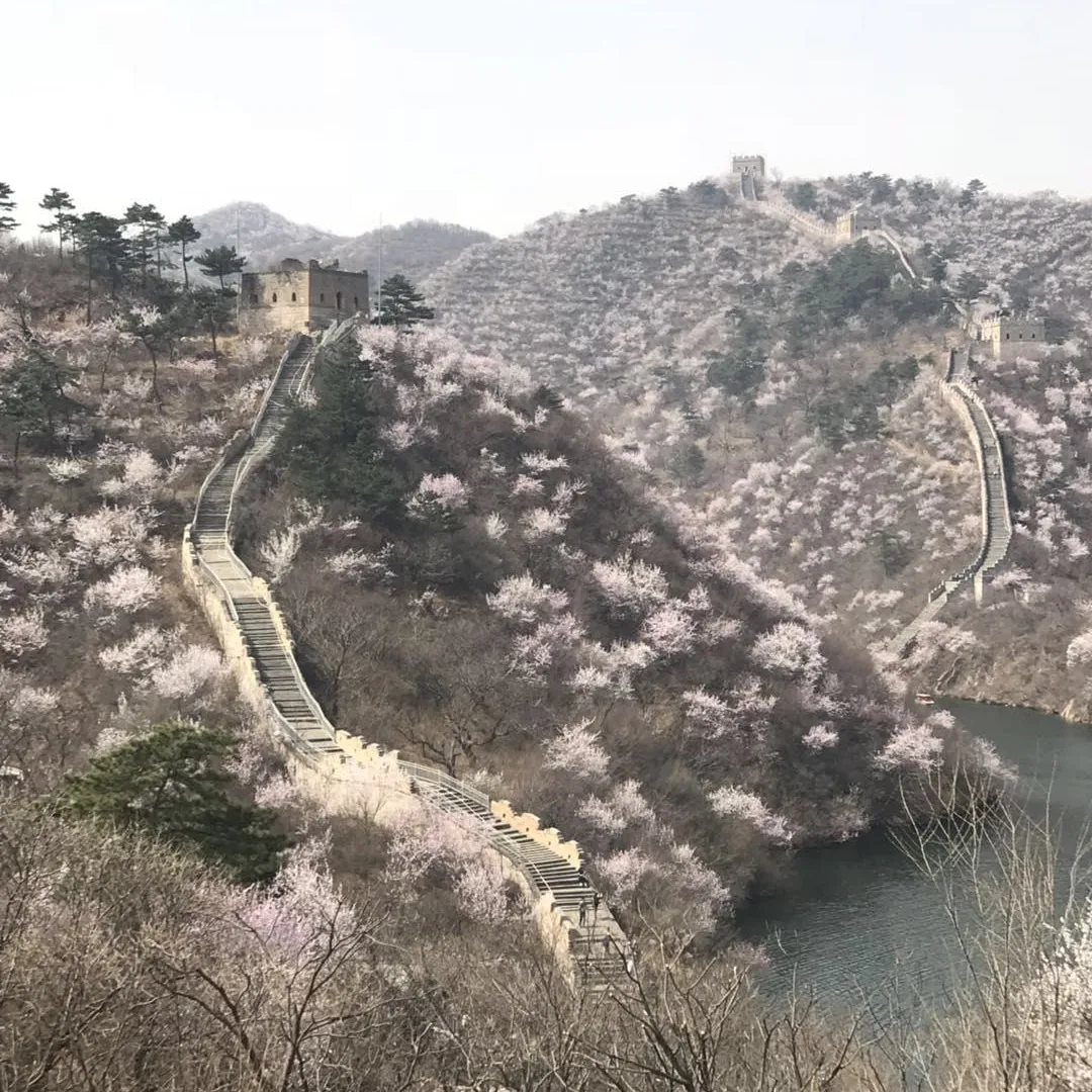 The Great Wall of China